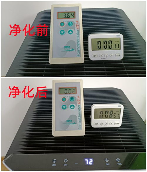 空氣凈化器能否除甲醛？新頤小白空氣凈化器實測分析與品質優選